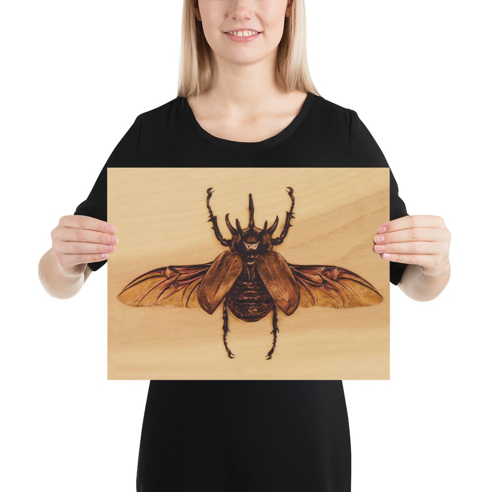 Photo Print: Atlas Beetle