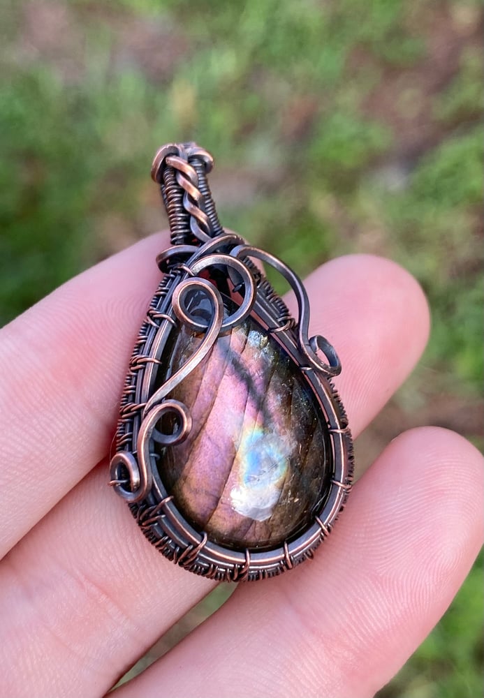 Image of Lavender Sun