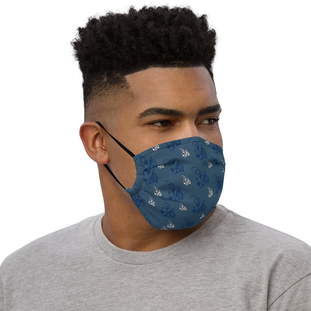 Image of YStress Pandemic Premium Navy Blue, and White face mask