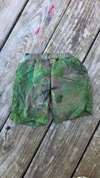 Image 5 of Evergreen