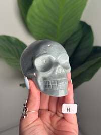 Image 8 of CHOOSE YOUR OWN SEA JASPER SKULL -MADAGASCAR-