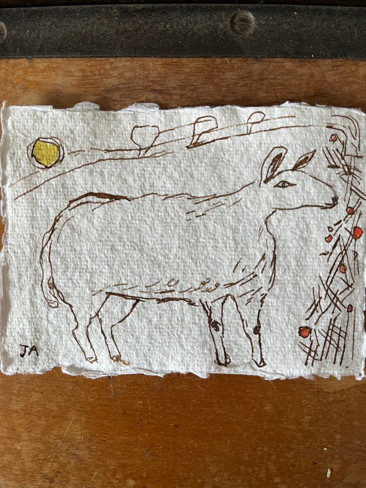 Image of Sheep and hedge