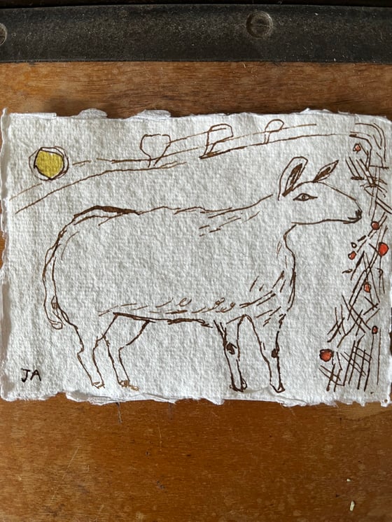 Image of Sheep and hedge