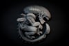 Xeno curl nightvision (GID) Resin velcro patch