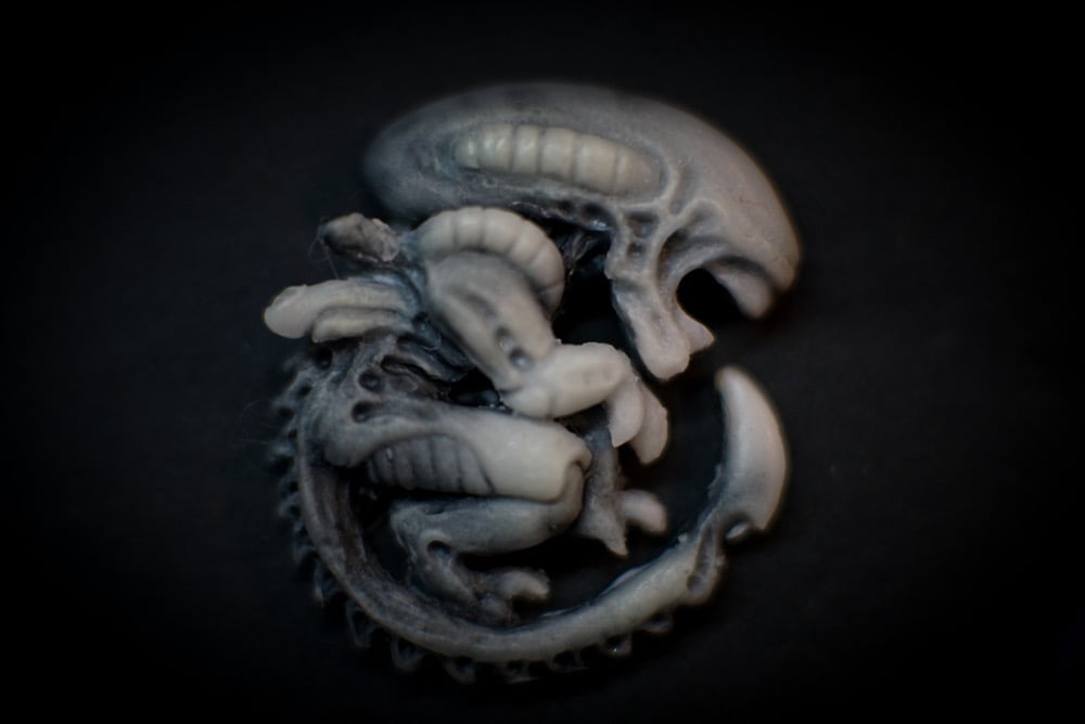 Xeno curl nightvision (GID) Resin velcro patch