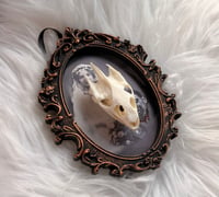 Image 1 of Haunted Turtle No. II
