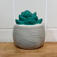 Image 1 of rainwater aloe scented candle