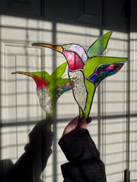 Image 3 of Hummingbirds 