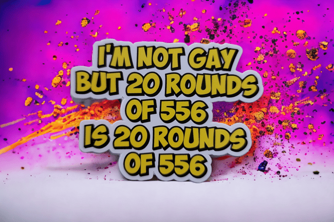 354. I'm Not Gay But Sticker