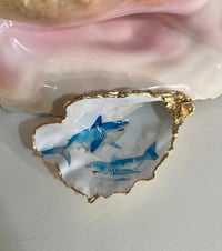 Image 1 of Shark Oyster Shell Trinket Dish