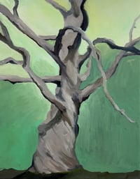 Image 1 of Montrepose Cemetery Tree