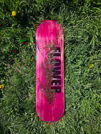 Image 1 of Rose Shrub Board Pink