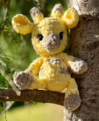 Butterscotch the Giraff