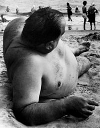 Image 18 of Harry Lapow - Coney Island Beach People, 1978