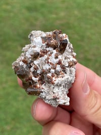 Image 2 of Smoky Quartz & Garnets On Feldspar Specimen #1907
