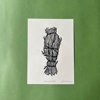 Image 4 of Witch Collection