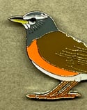 Eye-browed Thrush - December 2021 - UK Birding Pins - Enamel Pin Badge