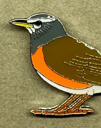 Image 3 of Eye-browed Thrush - December 2021 - UK Birding Pins - Enamel Pin Badge