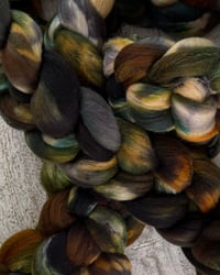 Image 3 of Dead Leaves and the Dirty Ground, on: Shaniko Shine: 80% Shaniko, 20% Mulberry Silk