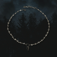 Image 1 of -;- midnight augury -;- 