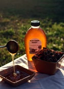 Image of 22 oz. Blue Creek Honey (plastic bottle)