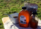 Image of 32 oz Blue Creek Honey (mason jar)