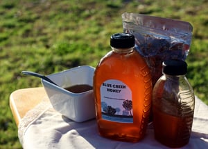 Image of 32 oz Blue Creek Honey (mason jar)
