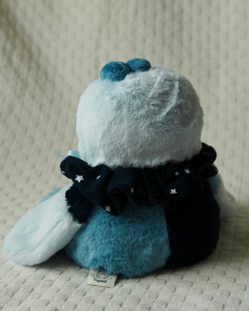Image of FIRST TIME BUYERS ONLY Blueberry Boy MEDIUM