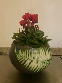 Image 4 of Large Fern Planter - Copper Green