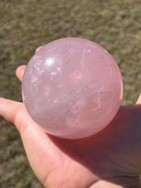 Image 6 of Star Rose Quartz Sphere #2642