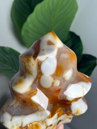 Image 6 of XL ORCA CARNELIAN FLAME -MADAGASCAR-