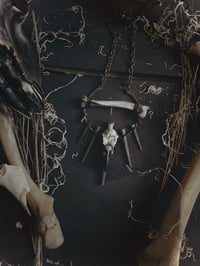 Image 1 of ¥BoneWitch¥