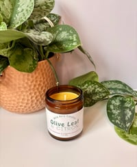 Image 3 of Spring & Summer Scents