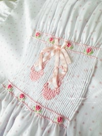 Image 8 of Ballet Slipper Collection