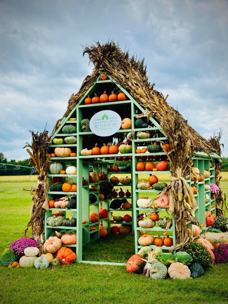 Image of Fall pumpkin house mini 10/13/25