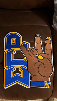 Image 1 of Large SGrho Patches