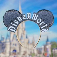 Black Sequin DW Marquee Sign Ears