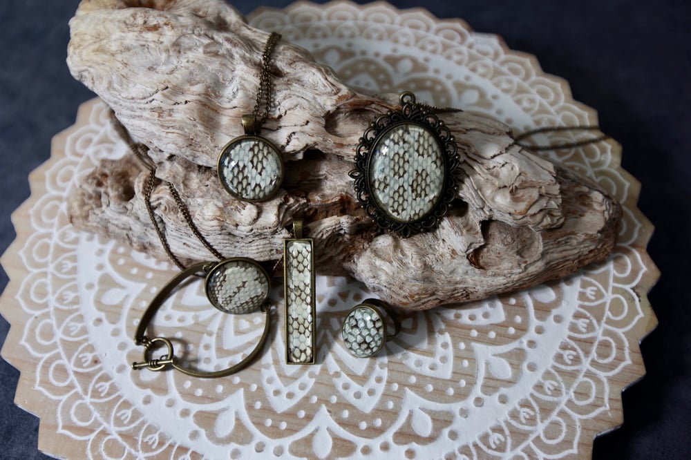 Image of ‘The Hive’ Collection - Hognose Snake