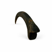 Image 4 of The Velociraptor Claw