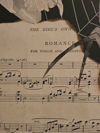 Image 5 of Huge Statement Victorain Faceless Spider Girl, Graveyard And Poem With Real Web 