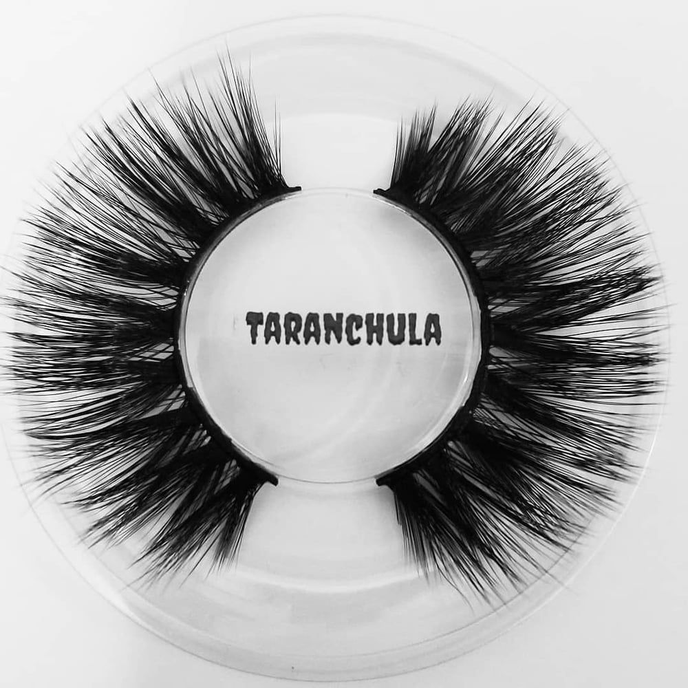 Image of Lash Refills