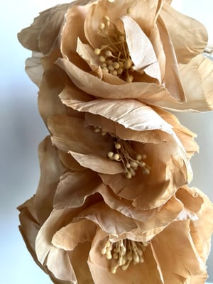 Image of Deep cream handmade silk flowers