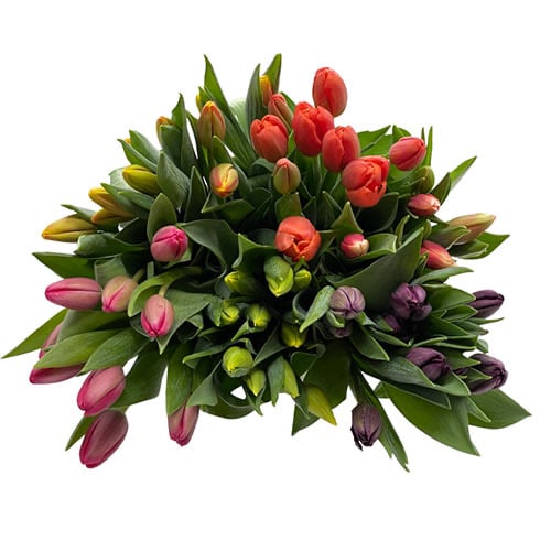 Image of Showcase Bouquet