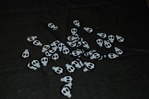 Image of Havoc Guitar Picks