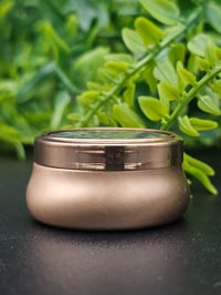 Image 3 of Mini Vintage decorative Jar with  Real Preserved Web