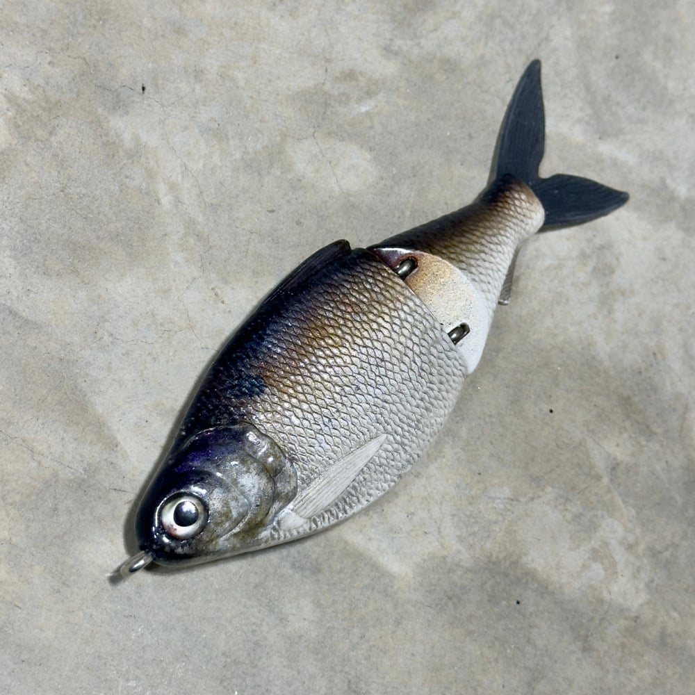 Image of 7inch Shad