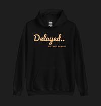 Image 4 of Delayed But Not Denied Hoodies