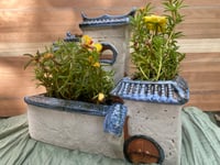 Image 1 of Moss Rose in Antique Chinese House