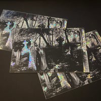 Image 1 of Sticker ❈ Dead Flowers [7x10cm]