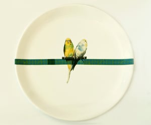 Image of pair of budgies plate